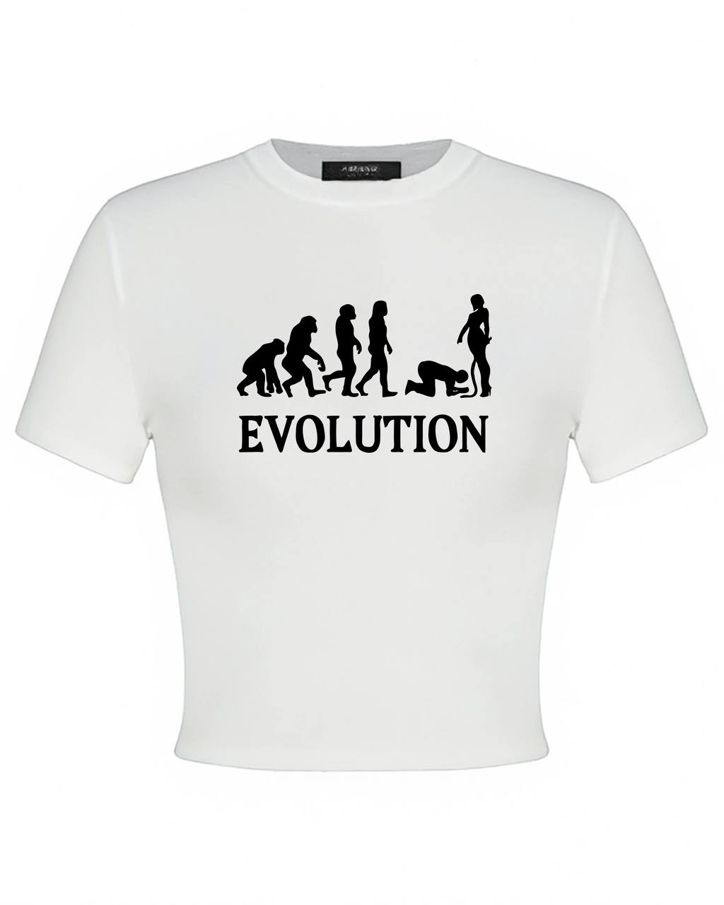 Toп Evolution